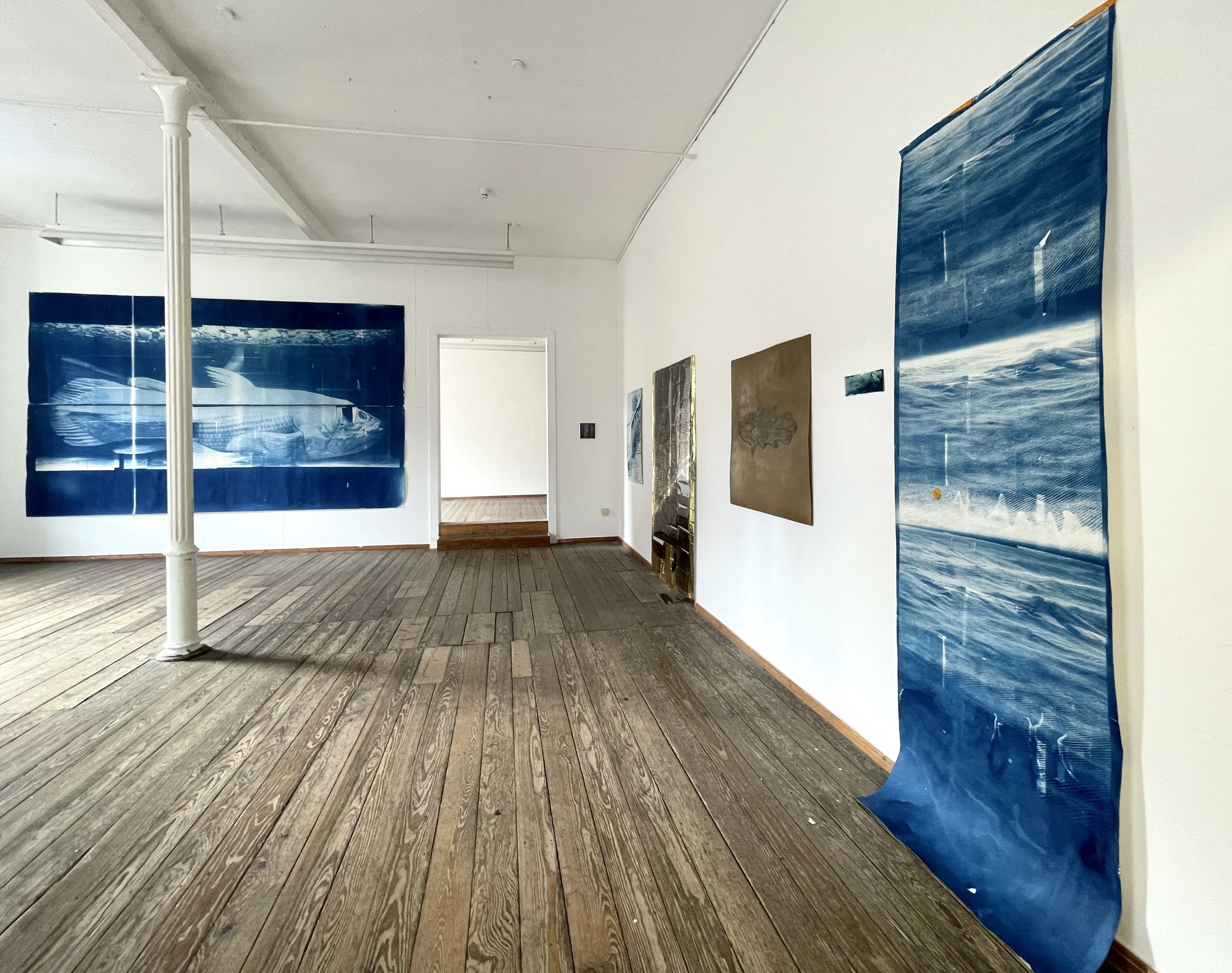 Kunstlanding, 2025