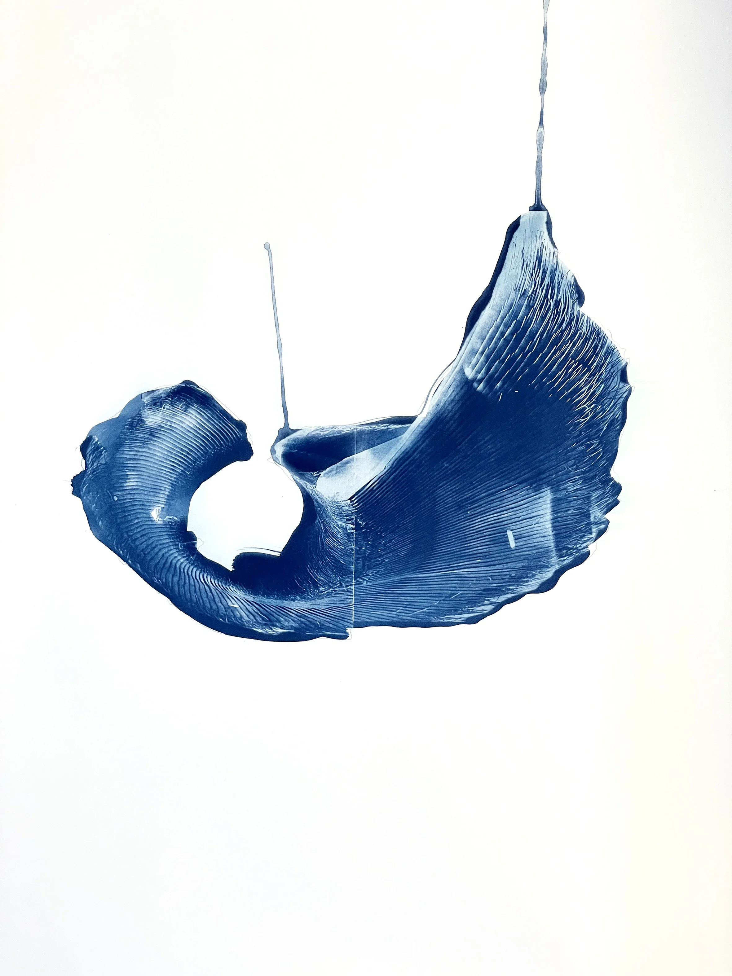 CCA Médiathèque de Nevez - Musée de la pêche de Concarneau