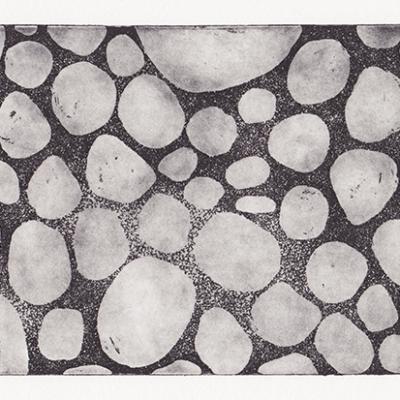 bryophyte