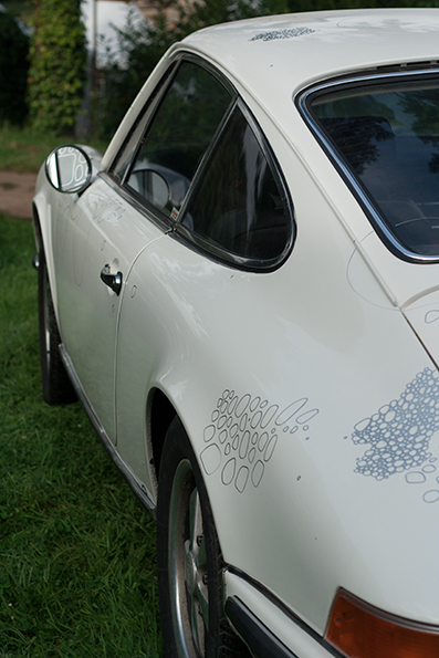 bryophyte in-situ (Porsche 6)