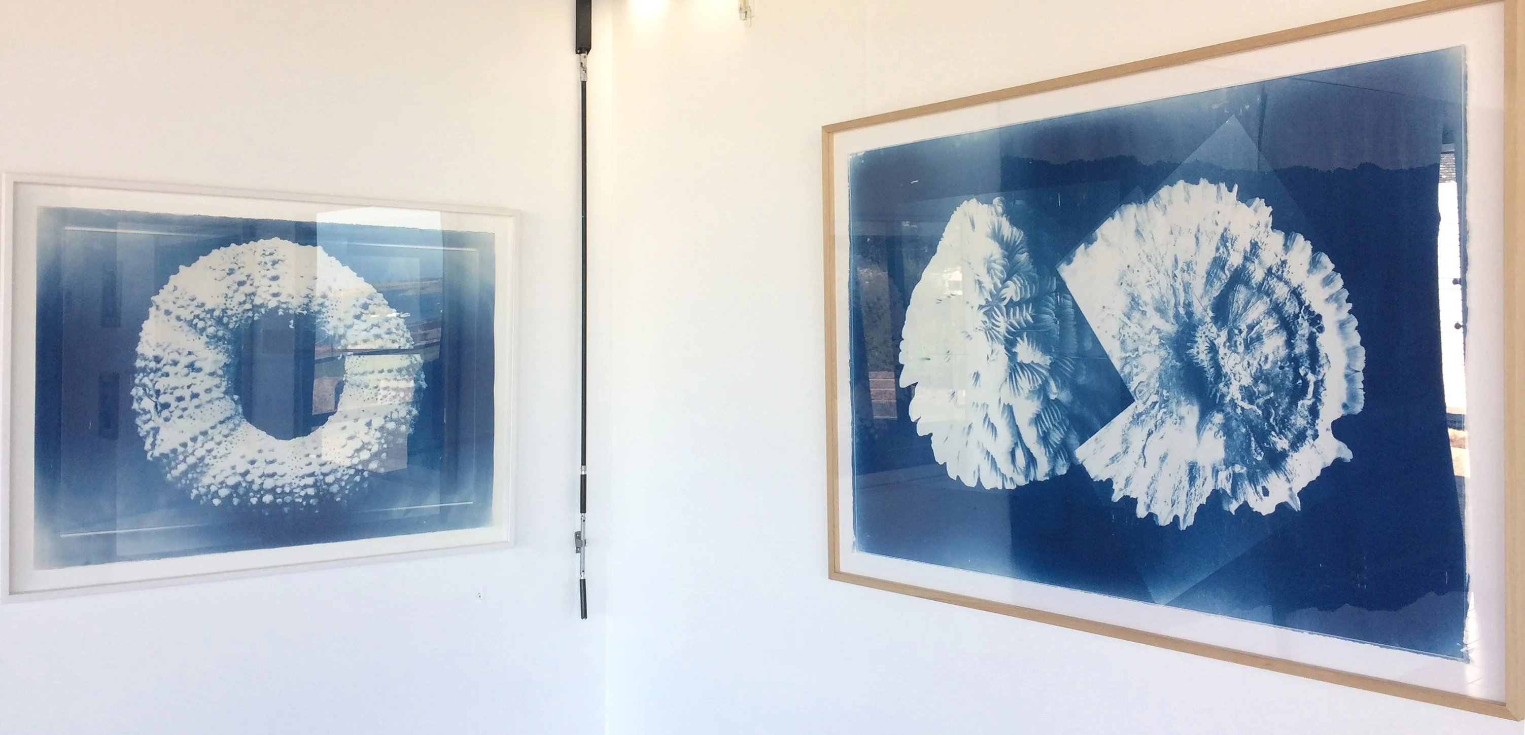 Festival d'art de l'Estran 2019