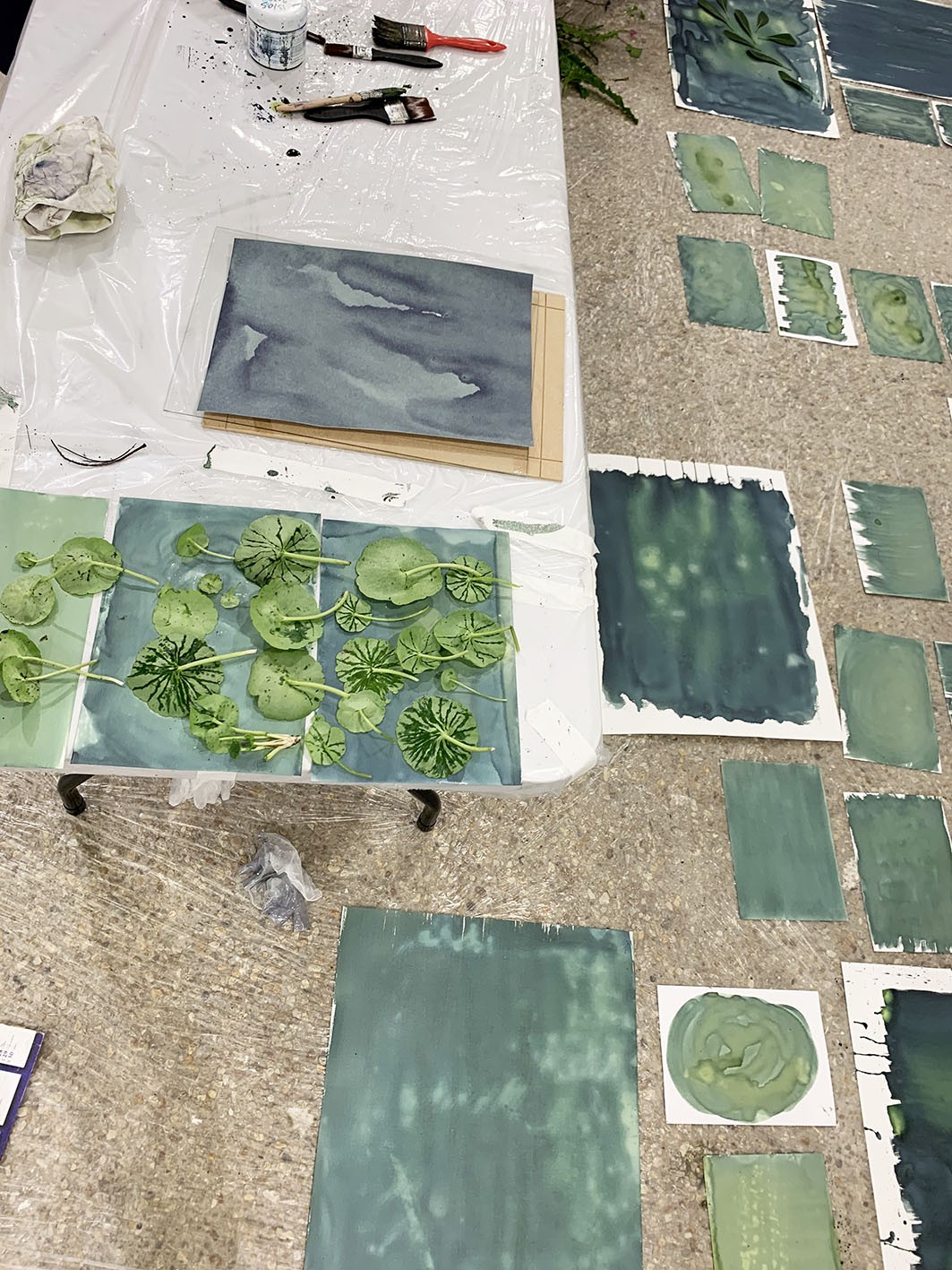 atelier-workshop cyanotype - galerie du Dourven