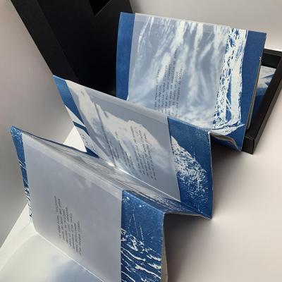 Livre d artiste kay ber